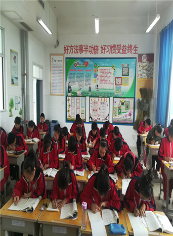 稼轩小学:让数学精彩起来 走进学生生活